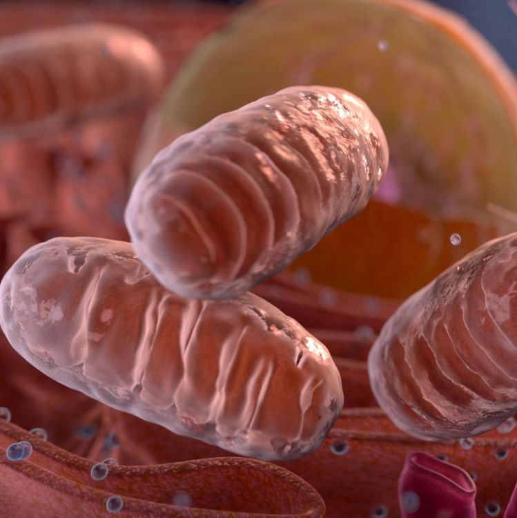 Peptídeo Slu-pp 332