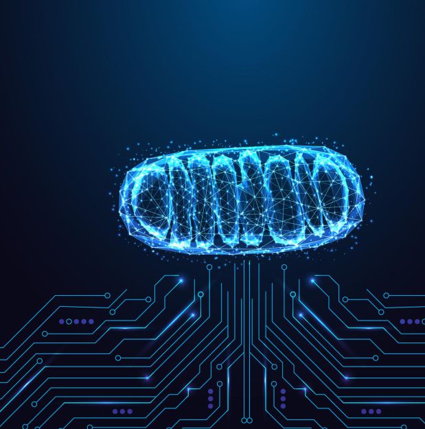 Peptídeo Slu-pp 332